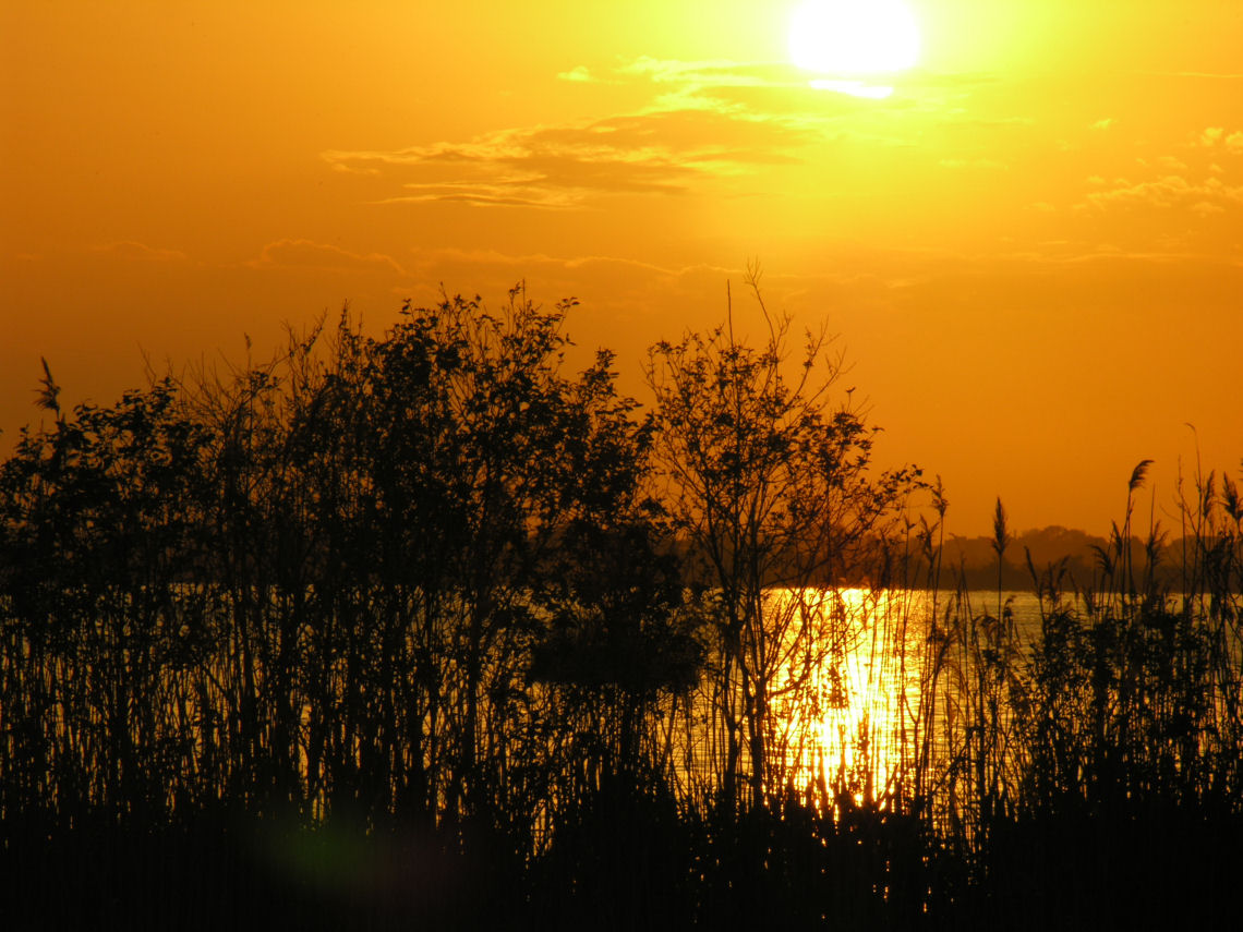 Tramonti sul lago di Massaciuccoli